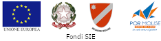 fondisie